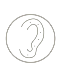 Ensemble de piercings - Silver Glam