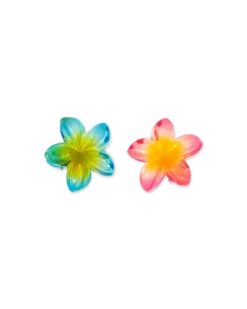 Ensemble de pinces à cheveux - Aloha Summer