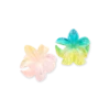 Ensemble de pinces á cheveux - Aloha Duo