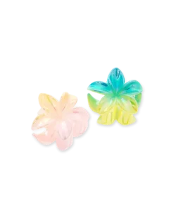 Ensemble de pinces á cheveux - Aloha Duo