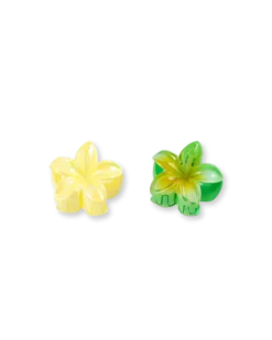 Ensemble de pinces á cheveux - Glossy Flowers