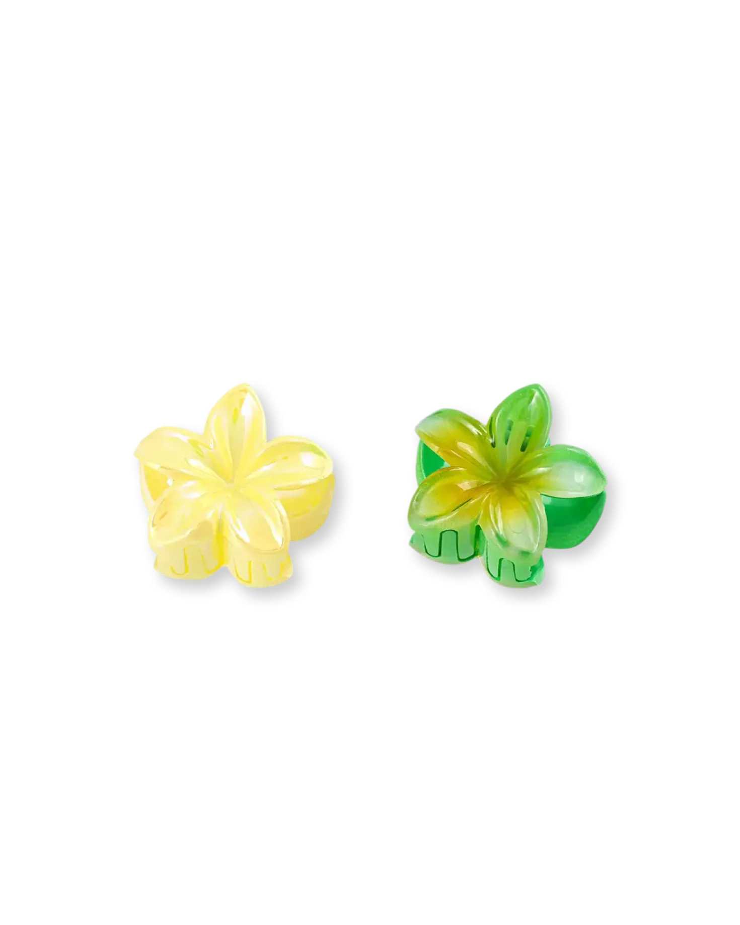 Ensemble de pinces á cheveux - Glossy Flowers