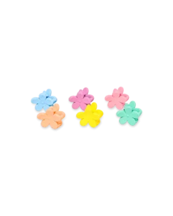 Ensemble de pinces - Colorful Flowers