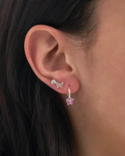Ensemble d'oreille - Shiny Mix