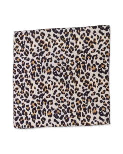 Foulard - Little Leo