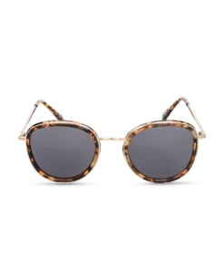 Lunettes de soleil - Safari Life