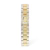 Montre - Sparkling Bicolor
