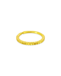 Piercing - Golden Circle