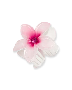 Pince à cheveux - Aloha Spring