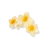 Pince à cheveux - Aloha Yellow