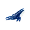 Pince à cheveux - Blue Sea