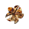 Pince à cheveux - Brown Summer