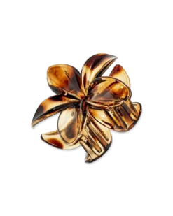 Pince à cheveux - Brown Summer