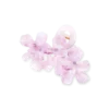 Pince à cheveux - Glossy Flowers