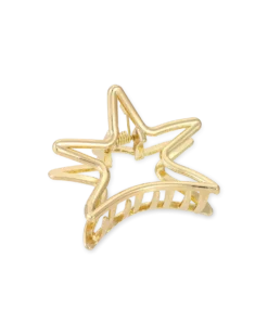 Pince à cheveux - Golden Star