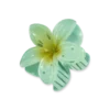 Pince à cheveux - Mint Aloha