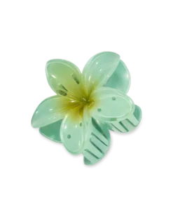 Pince à cheveux - Mint Aloha