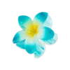 Pince à cheveux - Ocean Flower