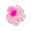 Pince à cheveux - Pink Summer