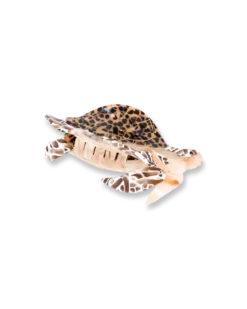 Pince à cheveux - Sea Tank