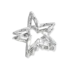 Pince à cheveux - Silver Star