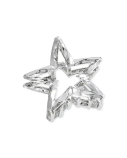 Pince à cheveux - Silver Star