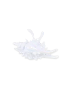 Pince à cheveux - White Conch