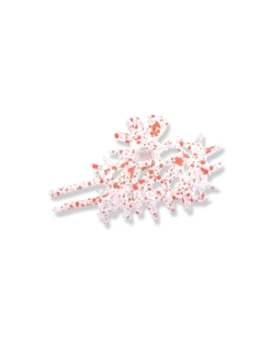 Pince à cheveux - White Coral