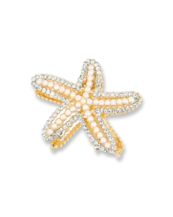 Pince à cheveux - Wonderful Star