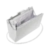 Pochette - Shimmering Silver
