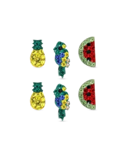 Set de boucles d'oreilles – Tropical Paradise